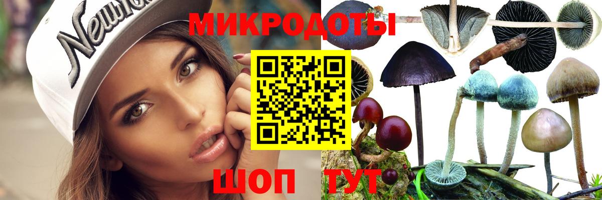 Нижний Новгород  Псилоцибиновые грибы Magic Shrooms  Вход с VPN 