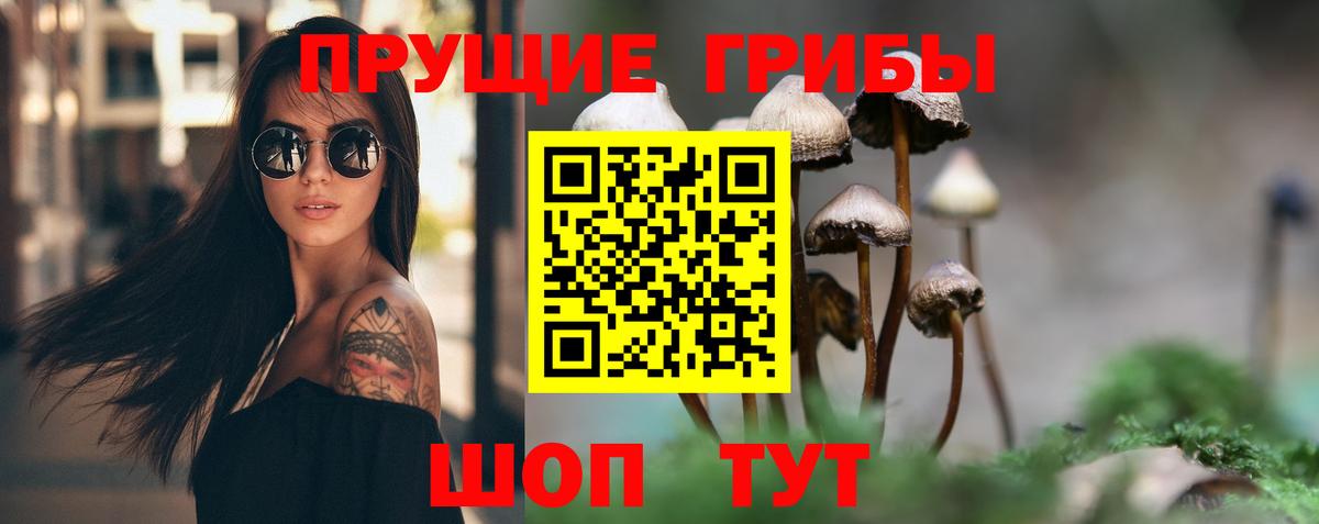 Галлюциногенные грибы прущие грибы Нижний Новгород